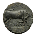Arpi Bull